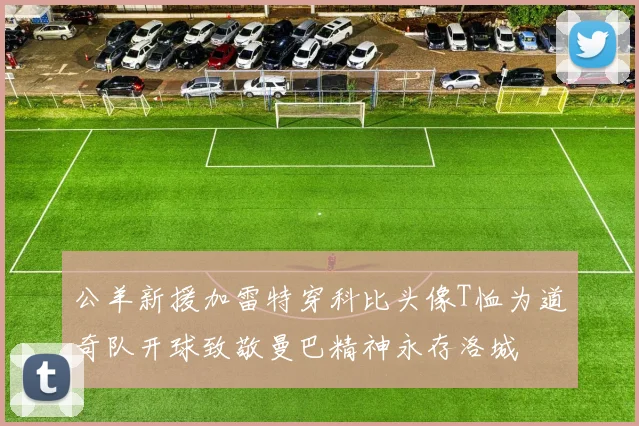 公羊新援加雷特穿科比头像T恤为道奇队开球致敬曼巴精神永存洛城